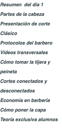 Resumen del día 1 Partes de la cabeza Presentación de corte Clásico Protocolos del barbero Vídeos transversales Cómo tomar la tijera y peineta Cortes conectados y desconectados Economía en barbería Cómo poner la capa Teoría exclusiva alumnos 