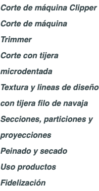 Corte de máquina Clipper Corte de máquina Trimmer Corte con tijera microdentada Textura y lineas de diseño con tijera filo de navaja Secciones, particiones y proyecciones Peinado y secado Uso productos Fidelización